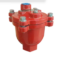 Vanne d'évacuation d'air automatique durable en fonte rouge DN25 pour hydrant de classe A et B, directement de l'usine