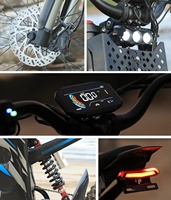 Vélo électrique tout-terrain multifonctionnel à économie d'énergie avec freinage stable pour la distribution en gros