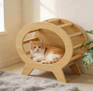 Nichoir pour chat en bois <span class=keywords><strong>de</strong></span> pin écologique en forme <span class=keywords><strong>de</strong></span> téléviseur, cabane rectangulaire solide pour poulets et cochons d'Inde, abri <span class=keywords><strong>de</strong></span> style moderne pour chiens - Product Image 4