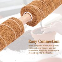 8 paquets de piquets de 16 pouces pour plantes d'intérieur, bâtons de mousse de coco pour plantes grimpantes en pot