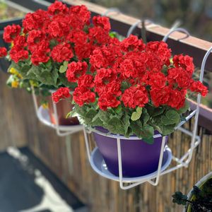 Fleurs artificielles en soie de géranium rouge résistant aux UV extérieur plantes de <span class=keywords><strong>jardin</strong></span> Bush fausses fleurs <span class=keywords><strong>pour</strong></span> mariage à la maison - Product Image 3