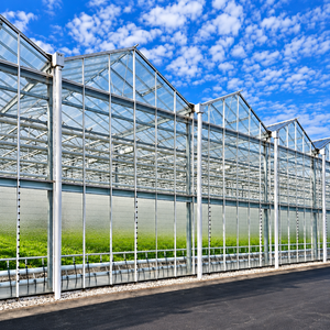 Snow Load Resistant Glass <b>Greenhouse</b> with Reinforced Steel Structure and Tempered Glass <b>Cover</b> for Cold Region Farming - Product Image 1