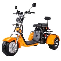 Scooter Eléctrico de Tres Ruedas, Plegable, con GPS, Batería de Litio Impermeable, Motor de Alta Potencia de 2000W, Citycoco