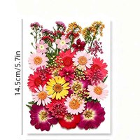 Lot de 40 fleurs séchées naturelles pressées, herbes séchées mélangées, fleurs et feuilles naturelles séchées et pressées pour la résine, pour l'art et le bricolage