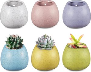 Décoration magnétique assortie pour réfrigérateur Décoration magnétique assortie avec <span class=keywords><strong>mini</strong></span> fausses plantes succulentes dans des pots en céramique blanche Pots magnétiques pour plantes - Product Image 6