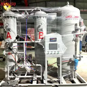 NUZHUO Integrated 20-Foot Container Nitrogen Plant Medical Nitrogen Generator Inside Container