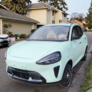 Veicolo Elettrico a 4 Ruote, <span class=keywords><strong>Auto</strong></span> Elettrica a Quattro Ruote Motrici, Mini <span class=keywords><strong>Auto</strong></span> Elettrica a Bassa Velocità - Product Image 5