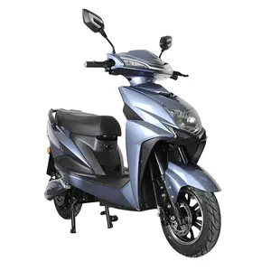 Cheap Scooter Model 800W 1000W Motor Electric Scooter China Factory CKD E-scooter