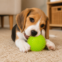 Balle à mâcher interactive classique moderne en TPR à picots pour chien, jouet de nettoyage dentaire, 2 tailles disponibles