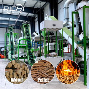 Nhà sản xuất dây chuyền sản xuất viên sinh khối richi 8-10t/h tùy chỉnh nhà máy viên gỗ tích hợp đa chức năng - Product Image 1