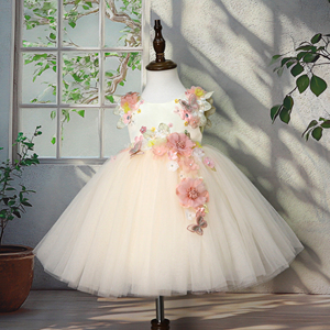 <span class=keywords><strong>Bambina</strong></span> di 1-6 anni su misura <span class=keywords><strong>principessa</strong></span> Appliques grande arco abito squisito per bambini festa abito <span class=keywords><strong>da</strong></span> sera - Product Image 4