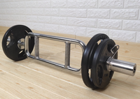 Barre pour triceps à boucle chromée 34 pouces Gym Triceps Fitness