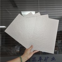 Haute qualité bas prix taille personnalisée muscovite panneau de mica feuille Type dur pour isolation thermique isolation thermique