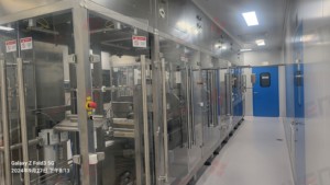 Schnelle Lieferung IV-Flüssigkeits-Produktionslinie/Projektplanung für 500ml Softbag- und PP-Flaschen-Abfüllanlage mit Installation - Product Image 2