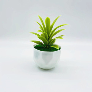 Plantes succulentes artificielles Qi Xing en pot, 13 cm, décoration de verdure du désert en plastique, utilisation intérieure et extérieure - Product Image 2