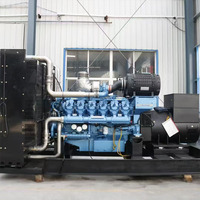 Groupe électrogène au gaz naturel refroidi par eau de 200 kVA 200 kW 50 Hz 1500 tr/min avec une efficacité de 40 % pour l'alimentation électrique quotidienne des ateliers d'usine
