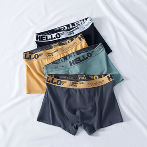 Bán buôn Polyester boxer quần lót thoải mái mềm kháng khuẩn giữa eo đồ lót của nam giới Boxer Briefs - Product Image 5