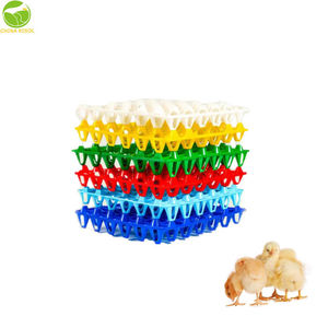 Non facciamo vassoi per le uova. Creiamo <span class=keywords><strong>risolutori</strong></span> di <span class=keywords><strong>problemi</strong></span> per la tua attività di pollame. - Product Image 1