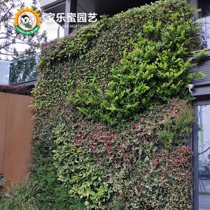 <span class=keywords><strong>Giardino</strong></span> Bee Home Garden <span class=keywords><strong>giardino</strong></span> Topiary recinzione vera pianta verticale verde erba parete decorazione, sistema di parete verde <span class=keywords><strong>giardino</strong></span> verticale - Product Image 2