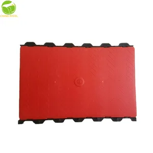 Plastic Flooring For Piglet Robot Automatic Cleaning Pig Farm China Factories Farm Equipment Pigs