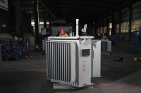 Transformateur de puissance immergé dans l'huile à faible bruit de type boîte à noyau vertical Wanbo-55 S20-M.RL-630 10kV 0.4kV