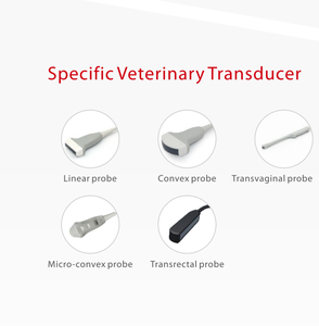 Mesin USG Hewan Portabel Laptop <span class=keywords><strong>B</strong></span>&<span class=keywords><strong>W</strong></span> Harga Pabrik, Layar LED 12 Inci, Pemindai USG Veteriner - Product Image 6