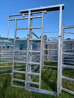 Panneaux résistants de Headlock d'écrasement de bétail d'équipement de bétail de métal soudé pour l'usage de barrière de ferme