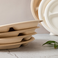 Assiette biodégradable en pulpe de bagasse de canne à sucre à motif végétal, idéale pour le camping et la restauration – Meilleures ventes