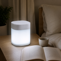 Lampe de campagne LED à piles, lumière extérieure rechargeable, veilleuse portable pour la maison, la chambre, le jardin, petite lampe de bureau
