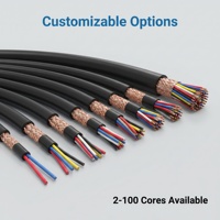 Cable de Señal para Computadora de Cobre Libre de Oxígeno de Baja Capacitancia, Aislamiento de PE, Blindaje Individual Total, Tamaño Personalizable DJYPVP