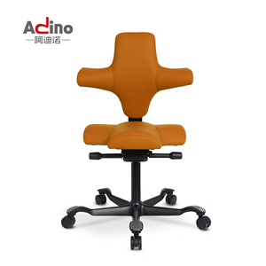 Silla de Oficina Ergonómica <span class=keywords><strong>Adino</strong></span> con Base de Aleación de Aluminio de 360 mm, Correctora de Postura, Éxito de Ventas en Europa - Product Image 1