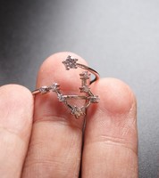 Wish – bague de signe douze, anneau d'astrologie du zodiaque en cuivre et Zircon ouvert, bijoux