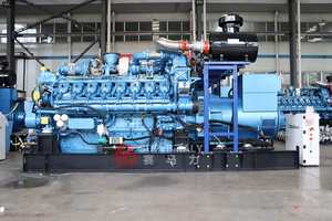 1000kW प्राकृतिक गैस बिजली स्टेशन बायोगैस प्राकृतिक खुले प्रकार गैस जनरेटर 1250kva मूल क्यूमीन्स इंजन के साथ - Product Image 6