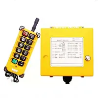 Telecrane-mando a distancia inalámbrico, grúa de Radio de 12V y 24V, detalles de F21-10S
