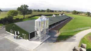 Gia cầm nuôi thiết bị Gà Thịt Gà nhà gia cầm thiết bị trang trại tự động công nghiệp gà Coop thiết kế - Product Image 4