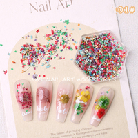 Autocollants 3D professionnels pour nail art en fleurs séchées naturelles, décorations artificielles pour ongles pour salon de manucure