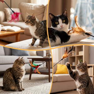 Premium <b>Interactive</b> <b>Cat</b> Teaser <b>Toy</b> Eco-Friendly Feather Spring with Bell and Feather Wand Fashion Style New BOLE PET - Product Image 5
