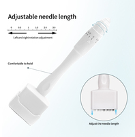 Rouleau-Tampon Derma Ajustable 140 Aiguilles en Jade pour Soin Capillaire