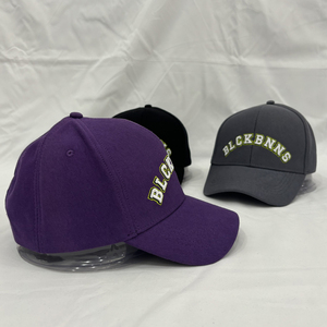 Gorra de Béisbol Casual Personalizada al por Mayor con Bordado de Logotipo, para Primavera/Verano, Deportiva, para Hombre y Mujer - Product Image 6