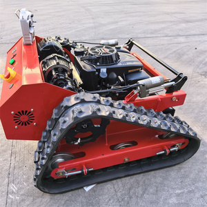 Cortacésped Robótico Inteligente Compacto y Automático de Última Generación para Jardín Doméstico |   Control Remoto, Envío Gratuito, 550J, Vehículo Autopropulsado Tipo Crawler L - Product Image 1