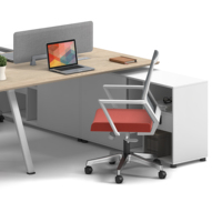 Postazione di Lavoro per Ufficio per 4 Persone, Configurazione Schiena a Schiena con Cassetti Portaoggetti e Divisorio Privacy, Tavolo in Melamina