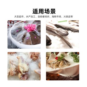 Máquina de Hielo en Escamas Comercial Se-103A, 1000 kg/24 h, Alta Productividad, Refrigerante R404A, Aplicación con Compresor - Product Image 2