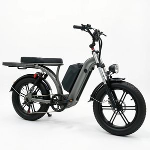 20 Inch Fat Tire 7-Speed Alloy Steel <b>Frame</b> Disc Brakes Electric Cargo <b>bicycle</b> Rear Rack Brushless Electric 36V70AH Long - Product Image 5