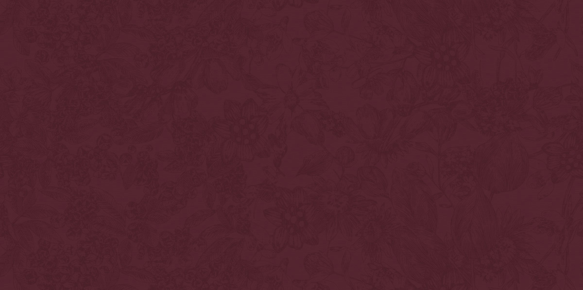 HX24037-F