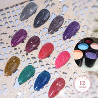 RS Nail Factory Créez Votre Propre Marque Gel Réfléchissant pour Nail Art 15g Brillant Flash Platine Gel Disco Vernis à Ongles UV