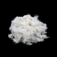 100% kardierte Wolle gewaschen Schafs haar grob wettbewerbs fähigen Preis Kaschmir faser zu verkaufen