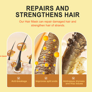 Masker Rambut Argan Profesional untuk Perawatan dan Perbaikan, Masker Rambut Bernutrisi dengan Minyak Argan, Grosir - Product Image 4