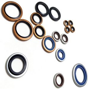 Rondelles combinées en acier inoxydable 316 résistant à la corrosion à haute température + caoutchouc FKM, épaisseur 1 mm, joints d'étanchéité en pouces - Product Image 2