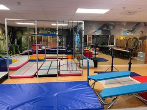 Mini trampolín estándar de gimnasia, trampolín cuadrado, Mini trampolín plegable para entrenamiento de niños