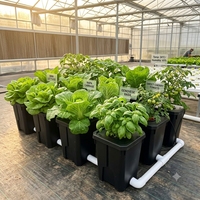 Système d'irrigation automatique de jardin, système hydroponique Dutch Bucket Rdwc avec pompe